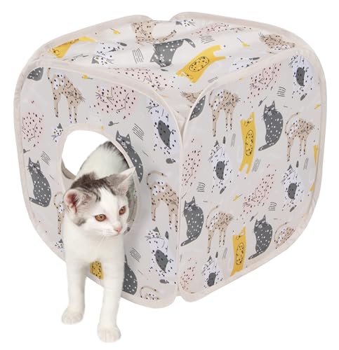 LeBVeB Lbgvg vCƋ vCL[u (sN)