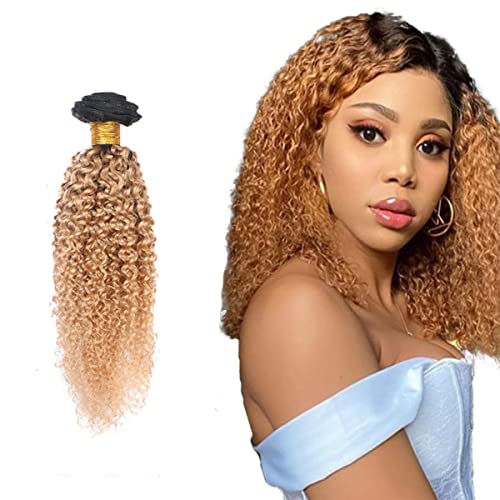 AuokMar 1B27 Ombre Human Hair Bundle Kinky Curly Bundle Single Bundle Tow Tone Hair Bundle For Women Grade 8a Unprocessed Virgin Hair Bundle 18 Inch