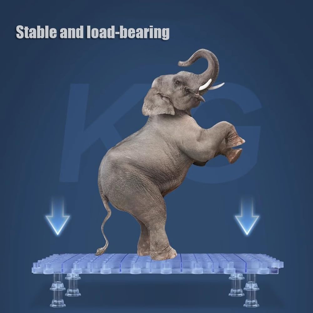 GZHERVICES Aquarium Fish Tank Divider Filter Bottom with Bracket, Transparent Plastic Crate Grid, for Fish Tank Separation, Bottom Filtration & DIY Aquascaping(Clear-10PCS)