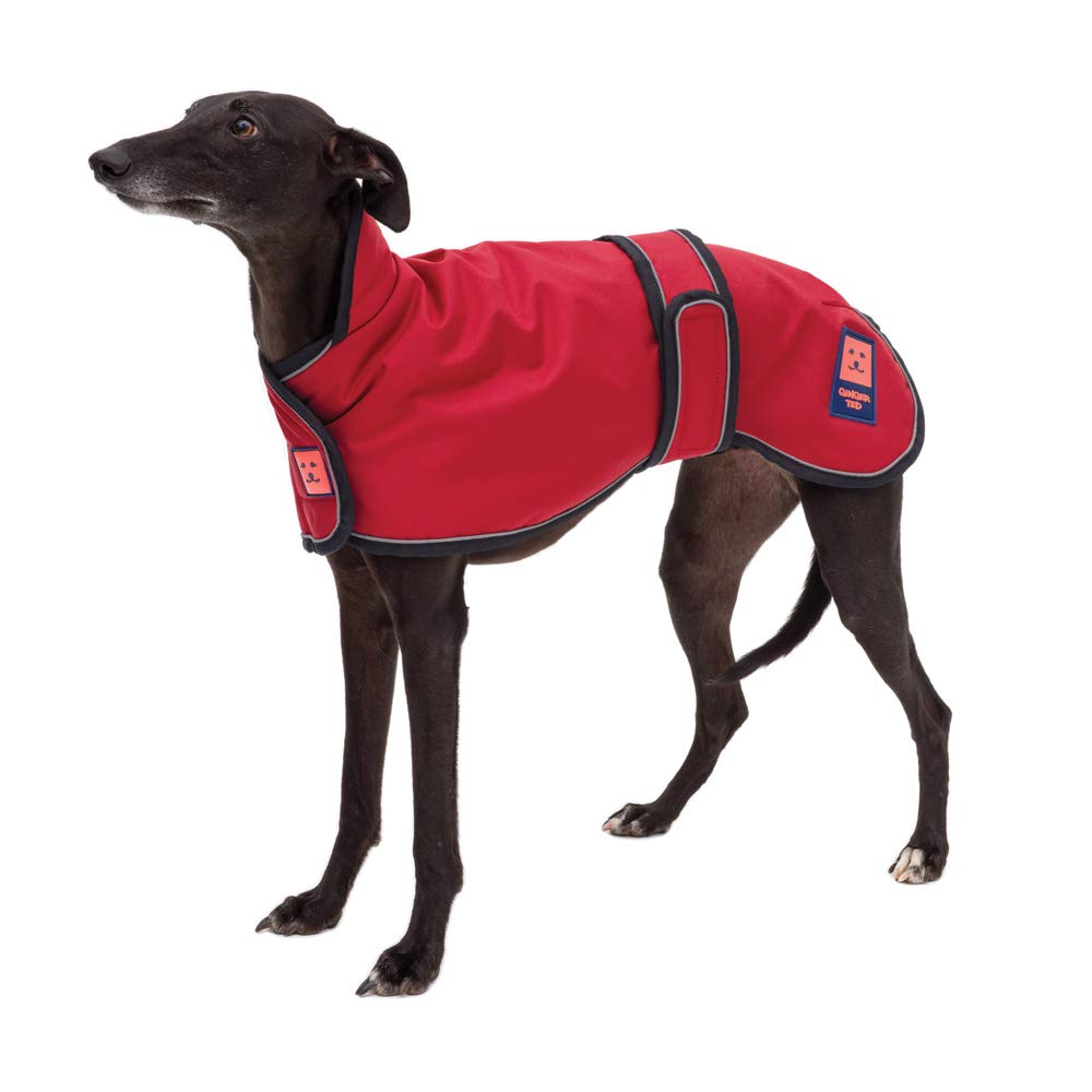 Ginger Ted Waterproof Lightweight Greyhound Whippet Lurcher Dog Coat - size 24"/61cm Cherry Red - for sighthounds, lightweight lining, reflective piping, jacket raincoat style