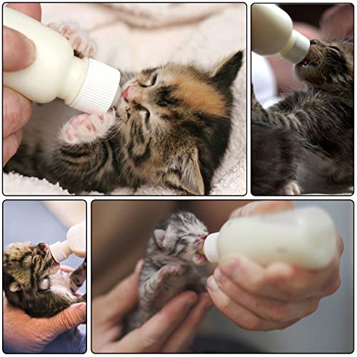 onebarleycorn Aufzuchtflasche Katze, Welpenmilch für Hunde Katzenaufzuchtmilch Katzenmilch Kitten Nursing Bottle Welpen Flasche Neugeborene Pet Kleine Hunde Welpen Katze Milch Fläschchen Milch(60ml)