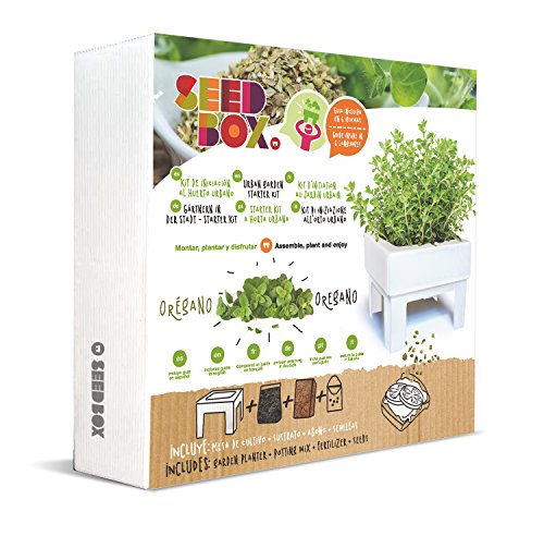 SeedBox SBMCUOR-Huerto Urbano Cultívame Mini-orégano, 17x4x17 cm ...