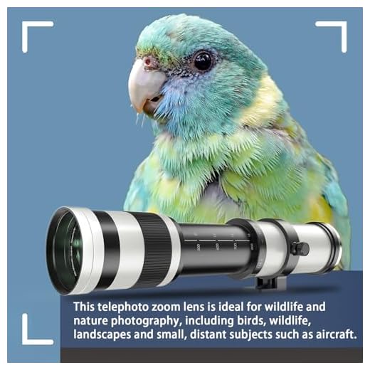 Manual Focus Telephoto Zoom Lens for Canon