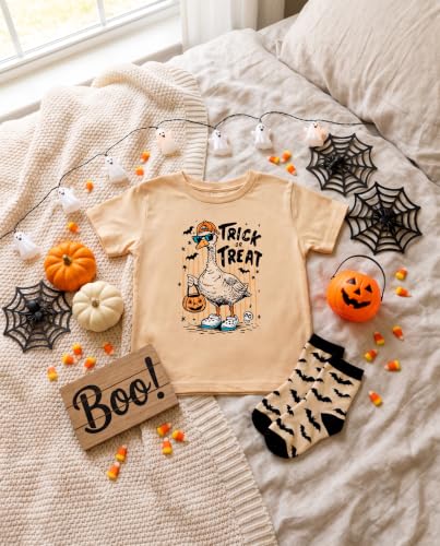 Image of Boys Short Sleeve Funny Graphic Tees for Toddler to Big Kid