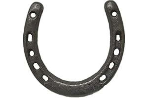 D-Doner Cast Iron Horseshoe Wall Decor
