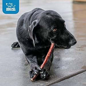   GigaBite-12-Inch-Half-cut-All-Natural-Free-Range-Bully-Sticks-Dog-Treat-by-Best-Pet-Supplies-Pack-of-10