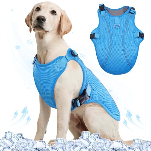 Kuoser Kühlweste für Hunde, atmungsaktiv, kühlender Mantel für Hunde, reflektierendes Hundekühlgeschirr, Blau, Größe L