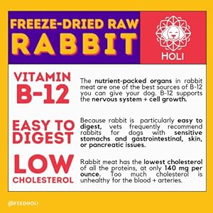 HOLI Rabbit Single Ingredient Canine Meals Protein Topper – Made in USA – Human-Grade Freeze Dried Canine Meals Combine in Topping – Grain Free, Gluten Free – 100% All Pure – 8oz