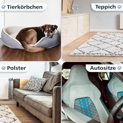 Coverax BIO Geruchsentferner mit angenehmem Duft I Enzymreiniger & Geruchsneutralisierer I Katzenurin, Hundeurin, strenge Gerüche entfernen auf Couch, Auto, Teppich I Geruchsneutralisierer Spray 500ml
