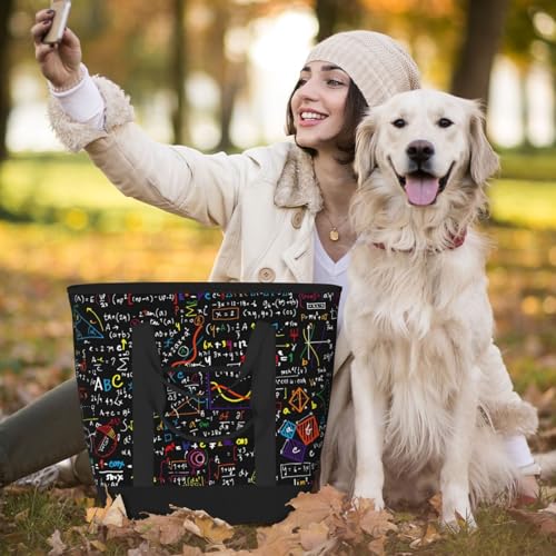 Math Formula Print Tote Bag Adult Heavy Duty For Picnic Beach Camping Large Capacity Insulated Tote Bag4