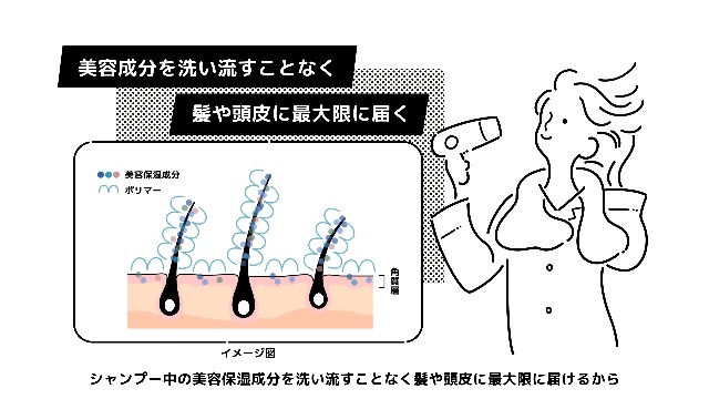 Amazon | レキシリス ブラック フレグランス スカルプシャンプー
