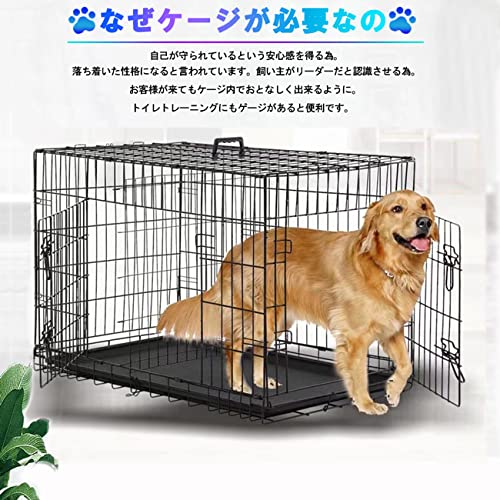 GL Glint ベーシック ケージ XL jlc36 の商品画像 2