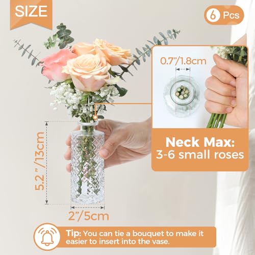 ComSaf Vase Klein Set 6-Teilig, Blumenvase, Vasen Deko Set, Kleine Glasvasen für Tischdeko, Mini Vasen Glas, Hochzeitsdeko, Diamant Knospenvasen, Teelichtgläser, 13cm Hoch, Transparent – Bild 3