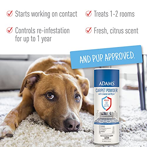 Adams Carpet Powder + Shampoo Bundle #TOP1