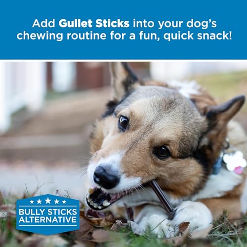 Best Bully Sticks 6 Inch Gullet Sticks - 25 Count (Pack of 1) - Natural, Thin, Hollow Esophagus Snack, Rawhide Alternative - Thumbnail 7