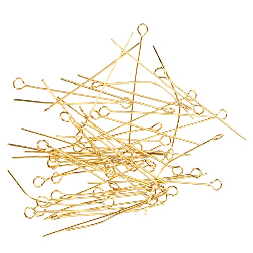 TEHAUX Essential Jewelry Making Tools 100pcs t Pin Earrings Long Head Pins Silver Earring Hooks Eye Pins for DIY Projects