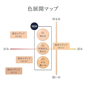 ファンデーション meme13 ファンデーション meme13 デュアル ファンデーション DX