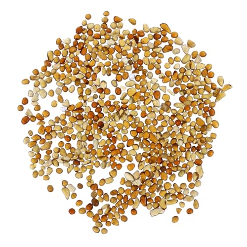 Totority 500g Glass Stone Set Aquarium Fish Tank Decorations River Rocks Fish Bowl Pebbles High-Temperature Fired Safe for Aquatic Pets