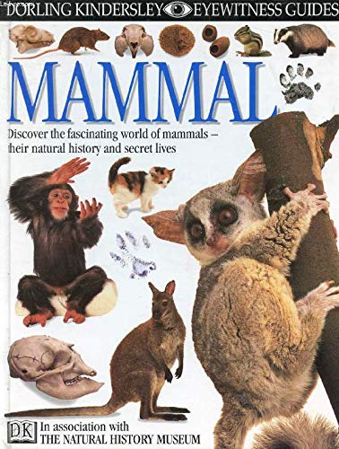 Mammal: Discover the fascinating world of mammals - their natural ...
