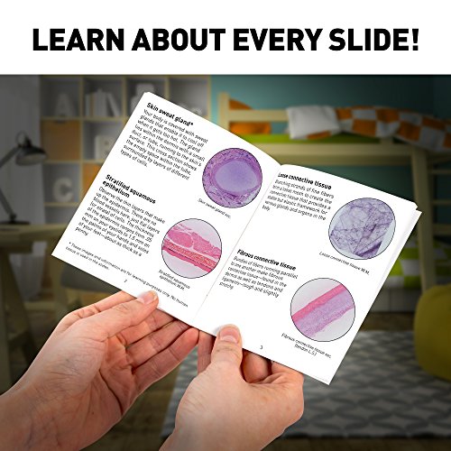 Blue Marble NGMEGASLIDE National Geographic Mega Biology Set - Professional Grade Specimens, 25 Prepared Microscope Slides thumb #1