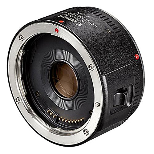 Image of Canon Life Size Converter EF Macro Lens