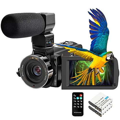 Best Camcorders For Youtube 10Reviewz