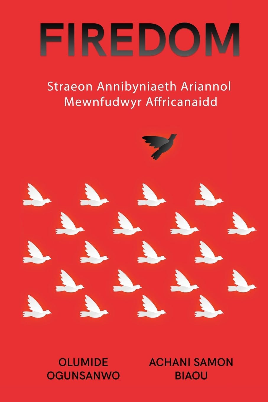 FIREDOM: Straeon Annibyniaeth Ariannol Mewnfudwyr Affricanaidd
