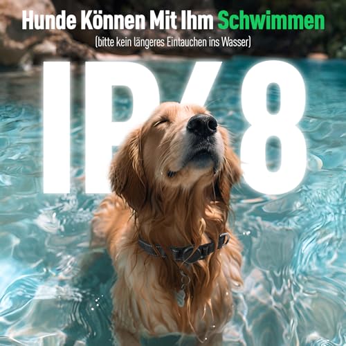 Hunde Tracker, Haustier Tracker Mit Hundehalsband Tracker Halter, Mini Tracker Ohne ABO für Hunde, Tracking Standort von Haustieren