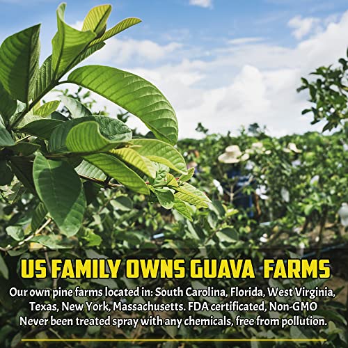 Image of 2.1oz Premium Dried Sea Moss, 100% Natural, Make 40oz of Gel, Wildcrafted, Caffeine Free, Sugar Free, Gluten Free, Vegan. (Avocado Leaves, 1oz (Pack Of 1))