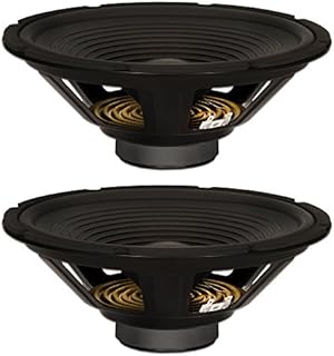 Goldwood Sound, Inc. Stage Subwoofer, OEM 12
