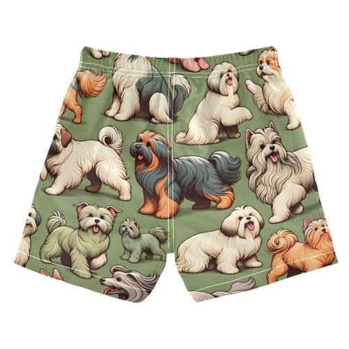 susiyo Boys Swim Trunks Cute Dogs Toddler Swim Shorts Quick Dry Beach Board Shorts Little Boy Bathing Suits Swimwear2