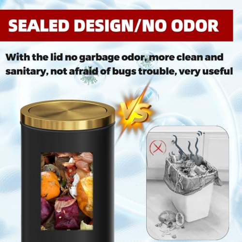 Image of 30L /8GAL Gold Brass Kitchen Trash Can,Tall Commercial Garbage Can with FILP Lid,Black and Gold Trash Can for Kitchen,Shopping mall,Elevator gate,Airport, Hotel,Commercial (Black)