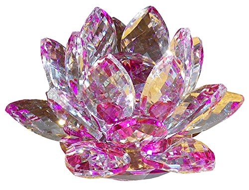 [KKD] NX^ KX u Jt @̉ CeA  nX  J^ TLb`[ (8cm p[v)