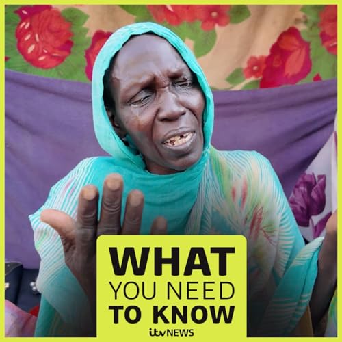 Is the world turning a 'blind eye' to the Sudan war?