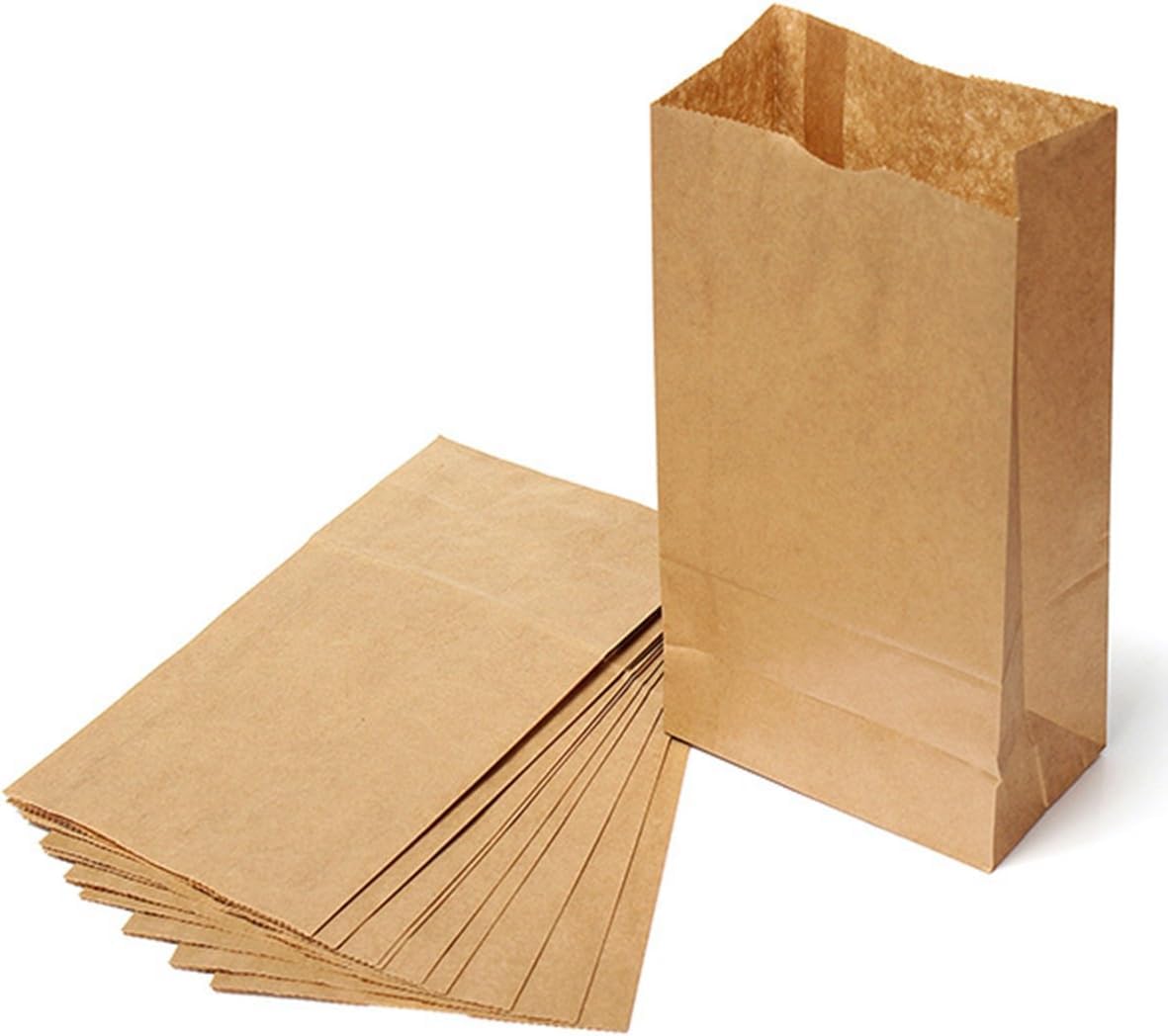 6 Lb Kraft Brown Paper Lunch Bags (500 Count) - Bulk Disposable Lunch Sacks, Small Size Blank Bag for Kids, Good for a Snack, Sandwich, Grocery Food, and Arts & Crafts Projects