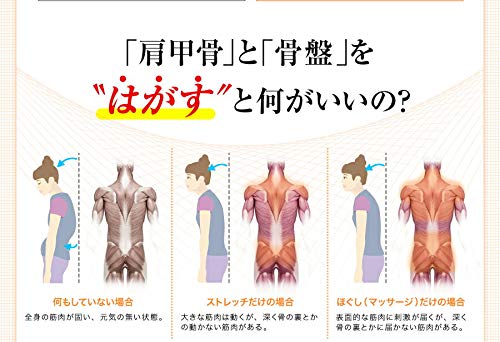 ストレッチハーツ Amazon | ストレッチハーツ ソフト ＆ ターボ セット/ストレッチ