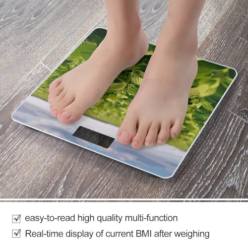 Báscula digital de baño Smart Scale vidrio templado miniatura 5