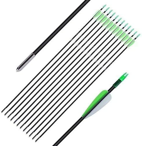 Flecha de fibra de vidrio para tiro con arco compuesto y arco recurvo (paquete de 12, eje de 0.236in)