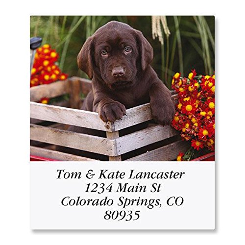 Doggone Fascinating Self-Adhesive, Flat-Sheet Select Address Labels (12 Designs)