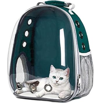 PSK PET MART Astronaut Space Transparent Capsule Breathable Airline-Approved, Ventilate Transparent Carrier Backpack for Travel, Hiking and Outdoor for Puppies & Cats (Green)