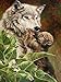 1000 pièces puzzle adulte loup animal image zone plate en bois jouet éducatif puzzle éducation précoce jouet puzzle A.13 200 pièces