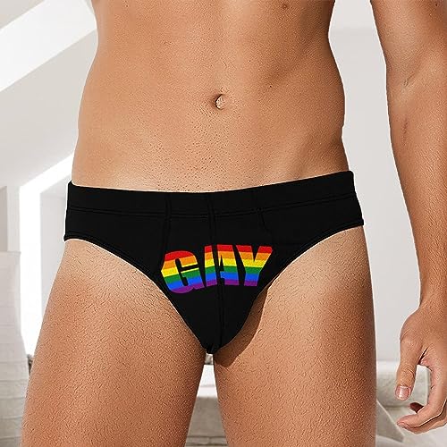 Gay Pride LGBT Men's Underwear Soft Low Rise Briefs Stretch Trunks Underpants4