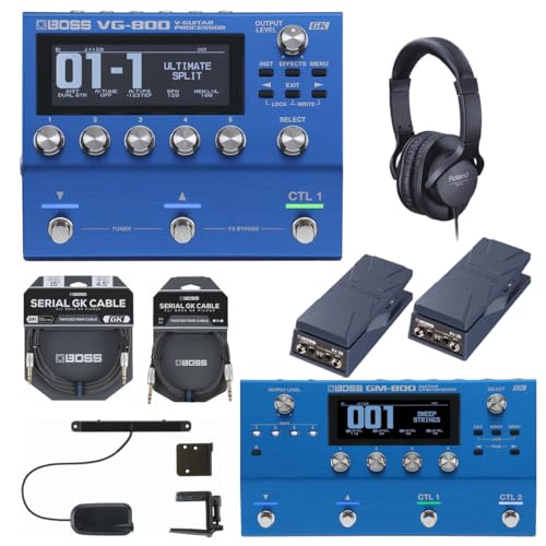 BOSS/VG-800 + GM-800 { IvVACe(x[Xp) M^[VZoVXe\zZbg BGK-15