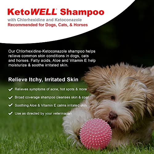 ketowell shampoo