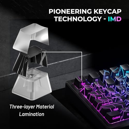 Image of HITIME x XVX Spider Web Keycaps 60 75 100 Percent - Shine Through Keycaps w /IMD Tech, for Mechanical Keyboards, Full 118 Key Set, OEM Profile, Lines Backlit, Side Printed - Black