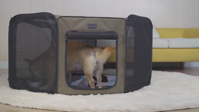 Amazon | Petsfit ペットサークル 犬 サークル 折りたたみサークル 八