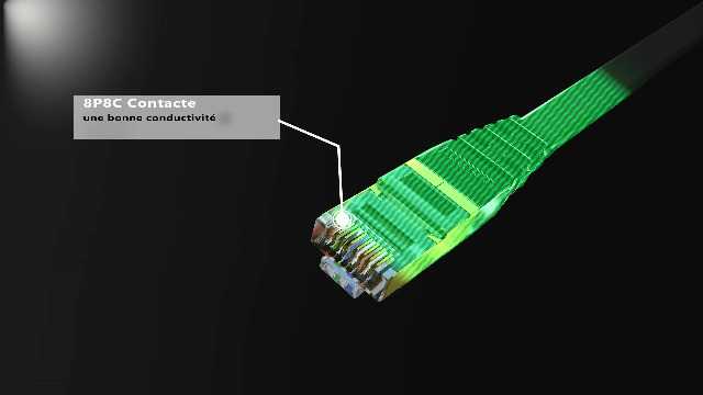 Câble Ethernet 5M Cat 8 Rj45, Câble Internet Plat, Connecteurs Plaqués Câble Ethernet 5M Cat 8 Rj45, Câble Internet Plat, Connecteurs Plaqués