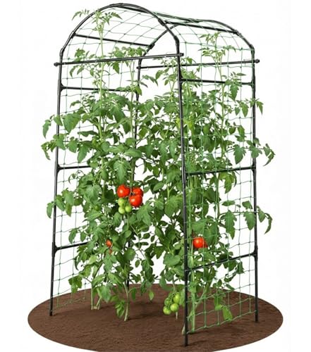 BAXAM 79' Garden Trellis Arch for Climbing Plants – Tall Outdoor Metal Trellis for Vegetables, Peas, Tomatoes,﻿ Cucumber Trellis Arch & Vertical Garden Climber Plant Support for Vine Plants