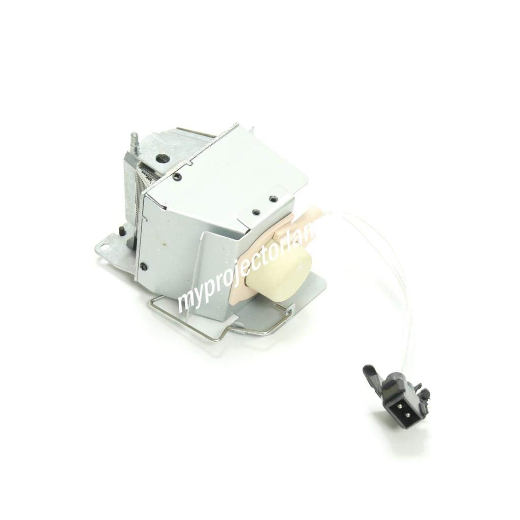 510LRlFOENL.jpg