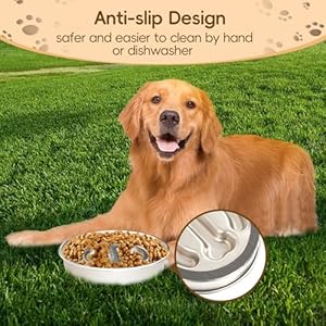 Stainless Steel Dog Slow Feeder Bowl  Metal Pet Food Bowl for Healthy Eating  Nonslip Easytoclean Heavyduty Slow Feeding Bowl for Large Medium Dogs Suitable for Wet and Dry Food  Cucciolini Doodles Stainless steel dog slow feeder bowl  metal pet food bowl for healthy eating  non slip easy to clean heavy duty slow feeding bowl for large medium dogs suitable for wet and dry food   cucciolini doodles